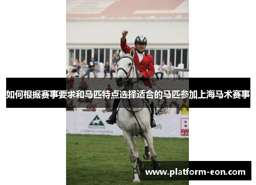 如何根据赛事要求和马匹特点选择适合的马匹参加上海马术赛事